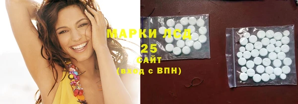 шишки Баксан