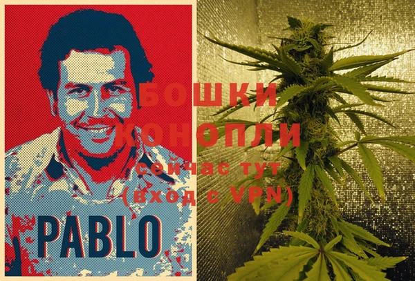шишки Баксан