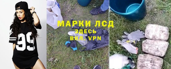 шишки Баксан