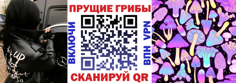 купить  цена  Нолинск  Галлюциногенные грибы Cubensis 