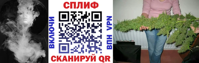 Бошки Шишки семена Нолинск